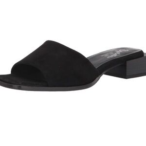 Seychelles Suede sandals